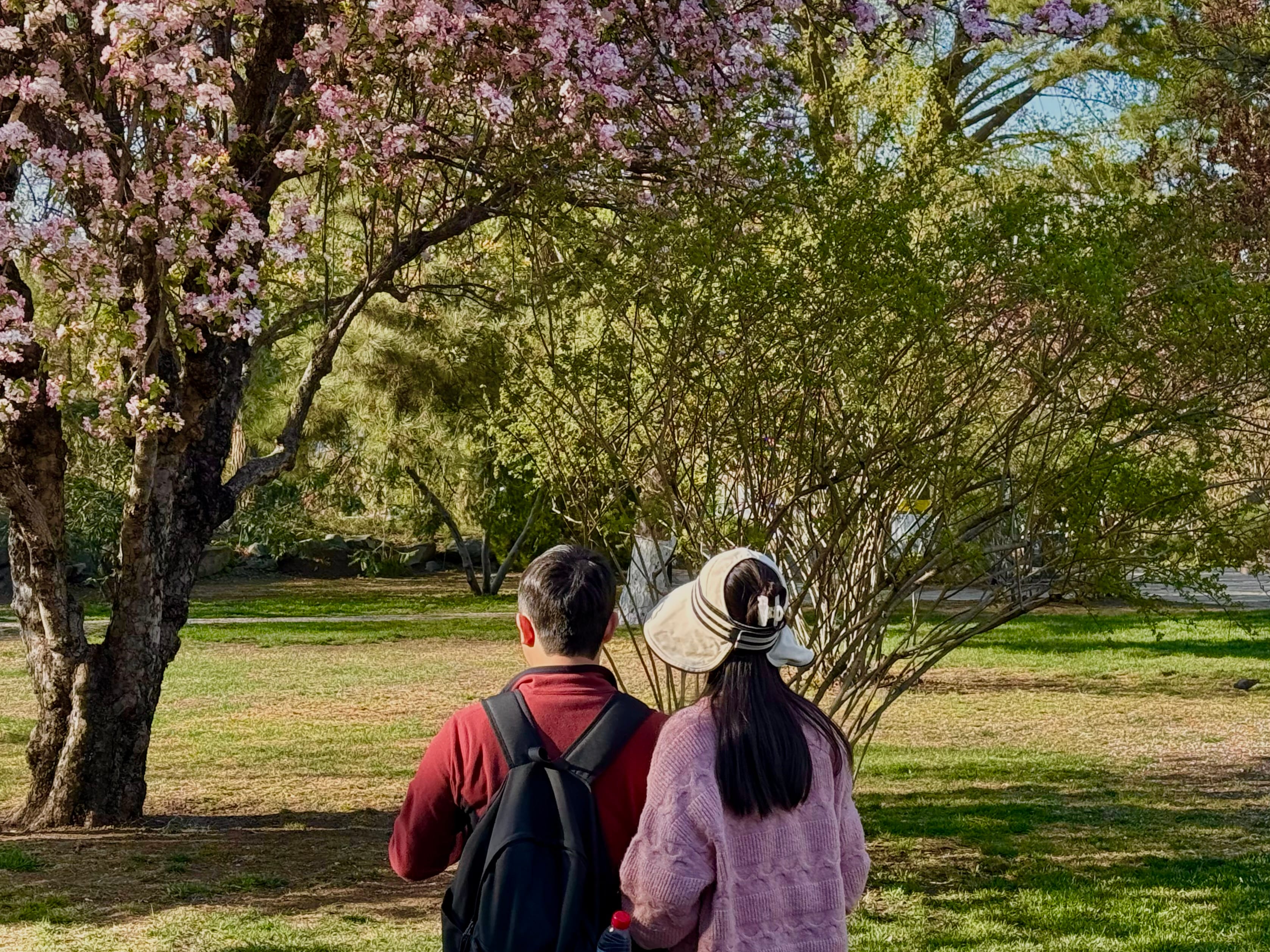 Moment in Peking image 1