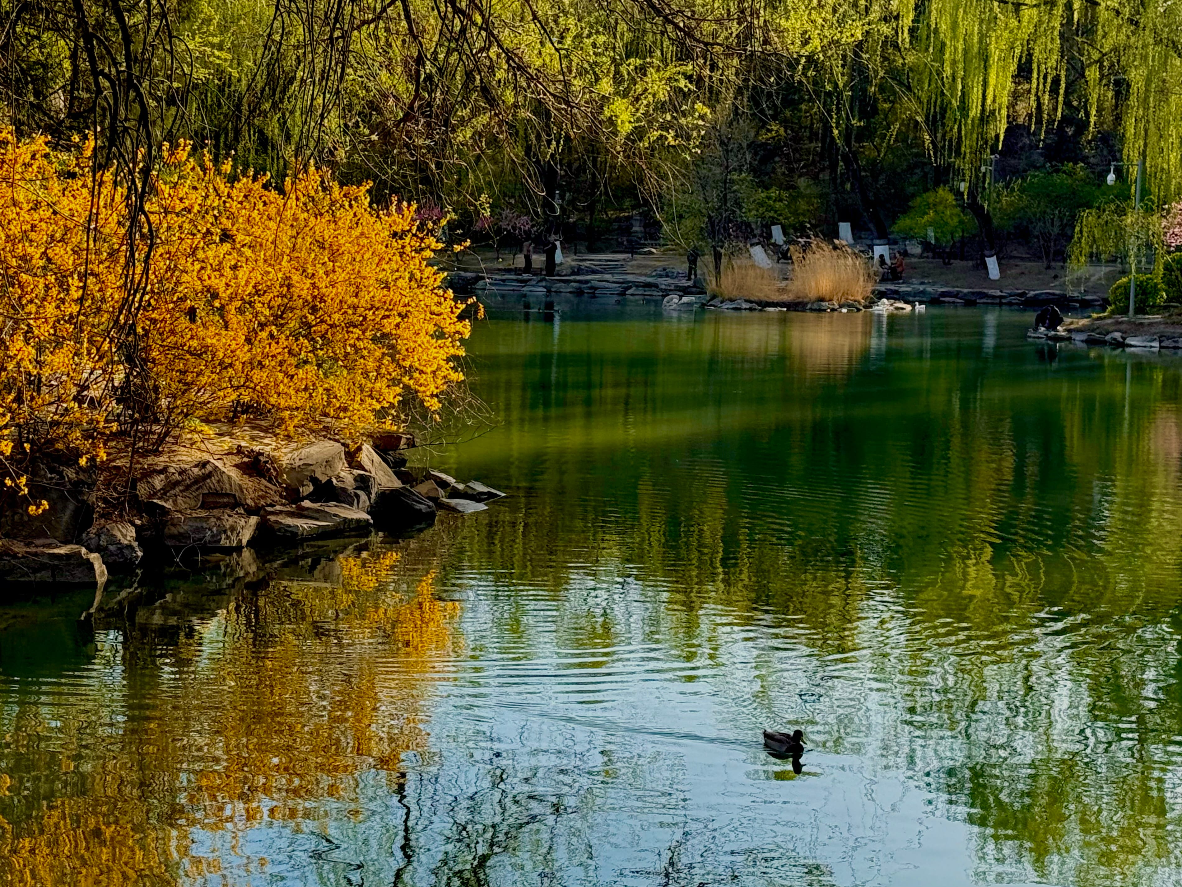 Moment in Peking image 5