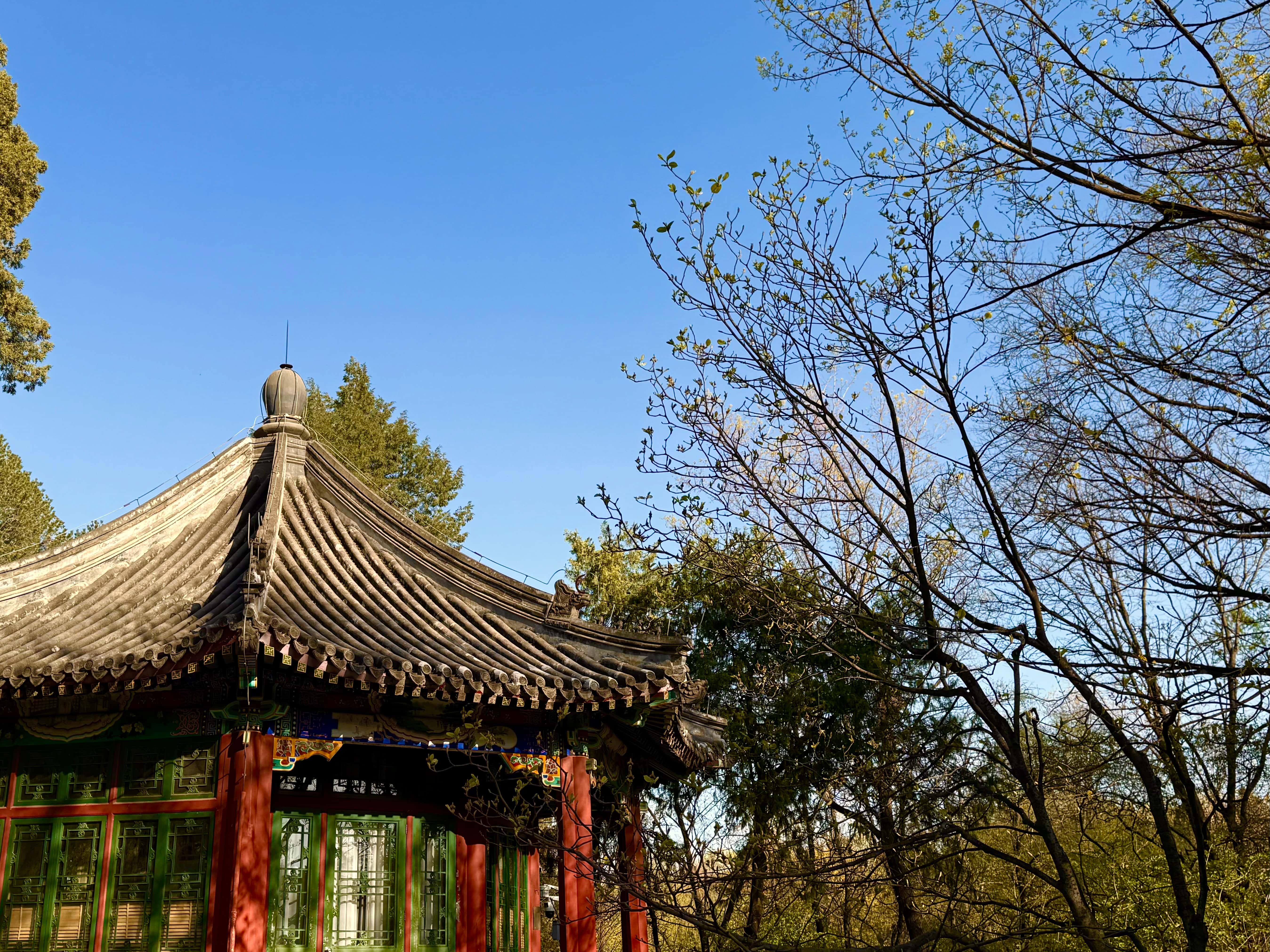 Moment in Peking image 7